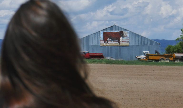 mRNA Vaccines in Meat > How to Buy Clean Food Nationwide