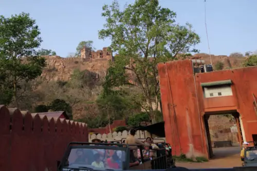 7 Things to Know Before Visiting Ranthambore Tiger Reserve View of Ranthambore Fort