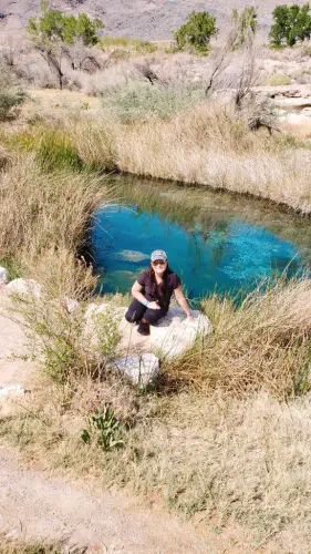 Ash Meadows National Wildlife Refuge GUPPY SPRINGS