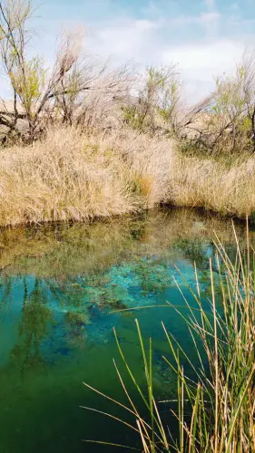 Ash Meadows National Wildlife Refuge