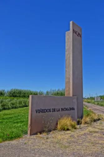 Best Patagonia Wine Tours NQN Venedos de la Patagonia