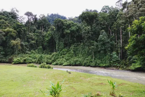 Exploring Borneo Island Borneo Rainforest Lodge View from Cabin