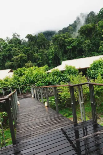 Exploring Borneo Island Borneo Rainforest Lodge
