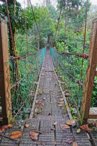 Exploring Borneo Island Hanging Bridges Suspension