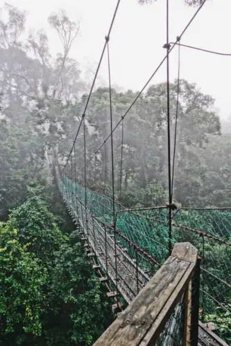 Exploring Borneo Island Hanging Bridges