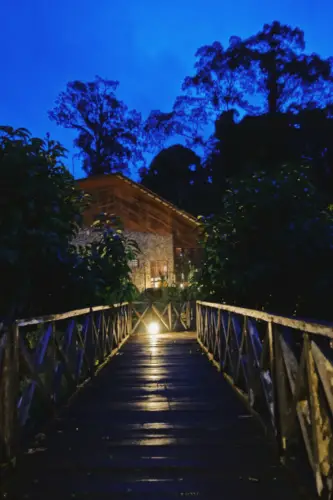 Exploring Borneo Island borneo rainforest lodge walking grounds at night