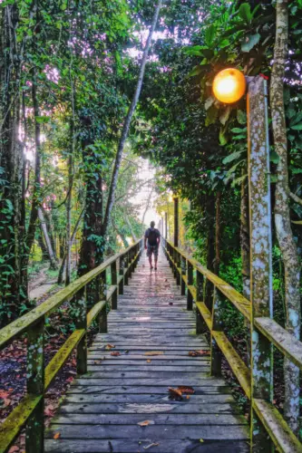 Malaysia Borneo Kinabatangan Jungle Camp Boardwalk