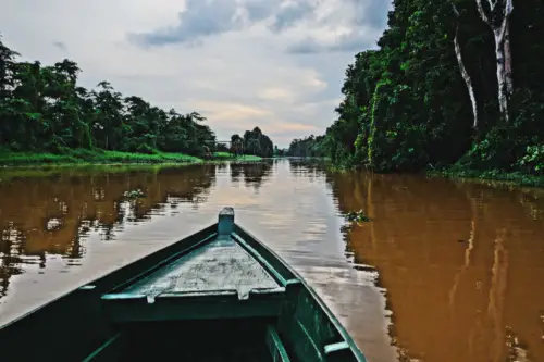 Malaysia Borneo Kinabatangan River Cruise