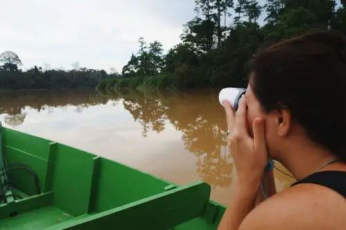 Malaysia Borneo Kinabatangan River Spotting Wildlife