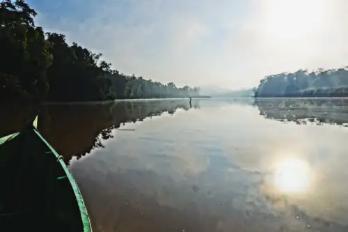 Malaysia Borneo Kinabatangan River Tour Boat Cruise