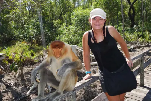 Malaysia Borneo Labuk Bay Proboscis Monkey Sanctuary 2