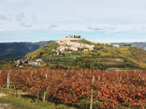 Motovun Istria Hill Town