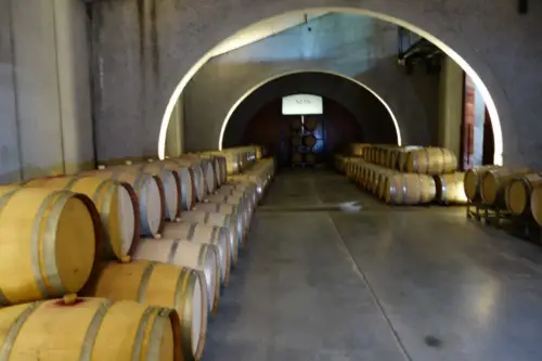 NQN Wine Cellar Patagonia
