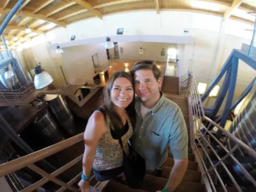 NQN Winery Tour Best Patagonia Wine Tours