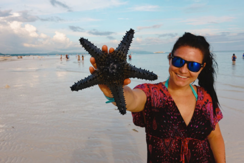 Pangloa and Bohol Island Dumaluan Beach Star Fish
