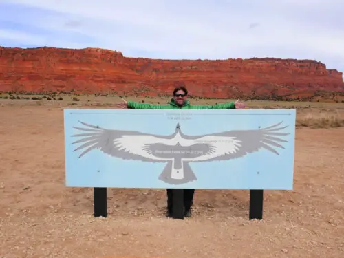 Vermilion's Condor Viewing Site - Condor 9.5 foot wingspan