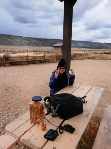 Vermilion's Condor Viewing Site Picnic Shelter