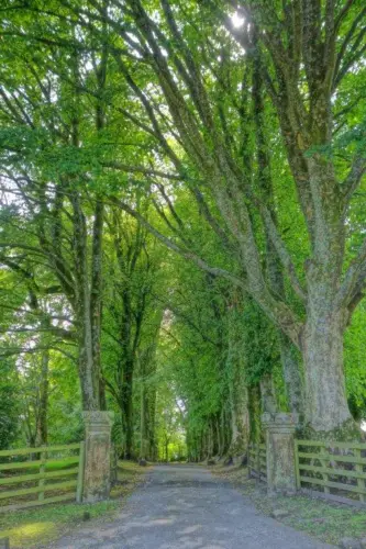 West Highland Way 18