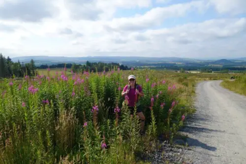 West Highland Way 23