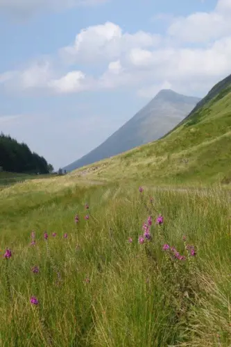 West Highland Way 60