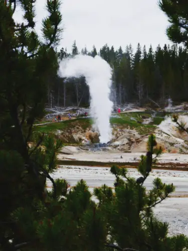 Yellowstone itinerary norris geyser basin Guardian Geyser Steam Vent