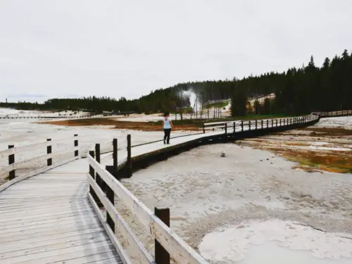 Yellowstone itinerary norris geyser basin lunar landscape