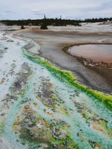 Yellowstone itinerary norris geyser basin