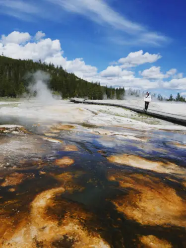 Yellowstone itinerary upper geyser basin brown