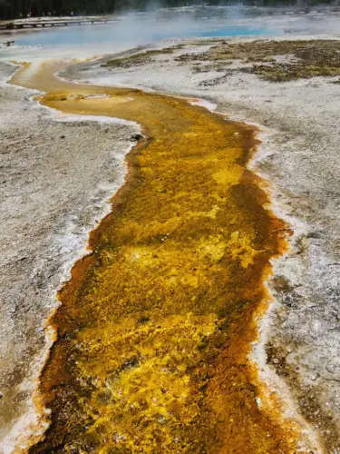 Yellowstone itinerary upper geyser basin sapphire pool yellow stream