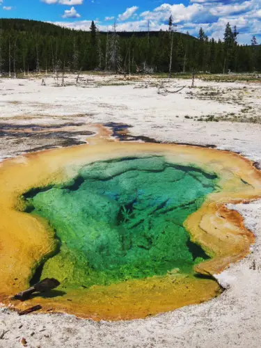 Yellowstone itinerary upper geyser basin west geyser