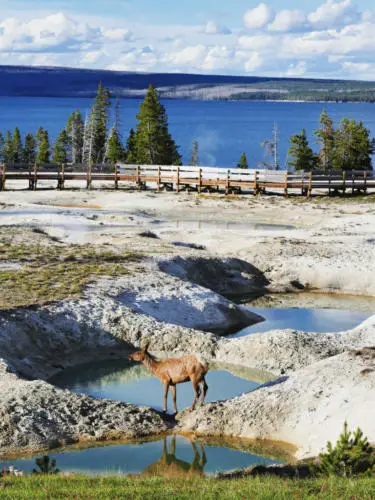 Yellowstone itinerary west thumb geyser basin