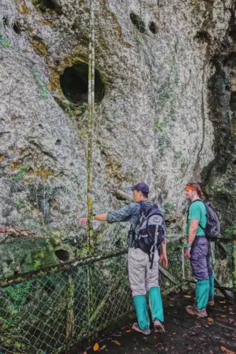 exploring borneo island borneo rainforest lodge guide