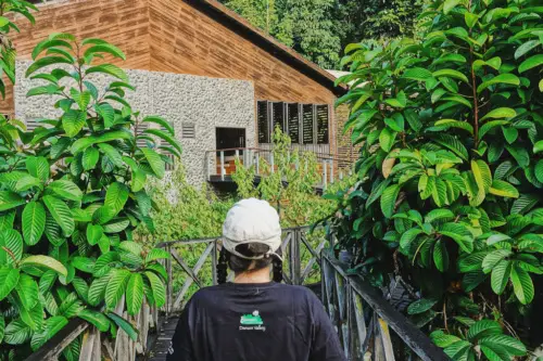 exploring borneo island borneo rainforest lodge tshirt