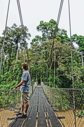 exploring borneo island river suspension bridge