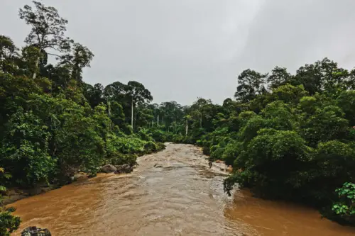 exploring borneo island river