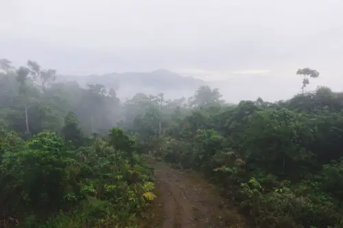 exploring borneo island view from morning sunrise tower