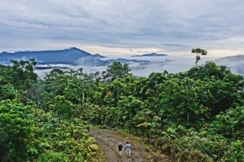 exploring borneo island walking from morning sunrise tower