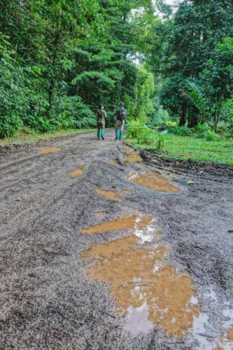 exploring borneo island walking in mud