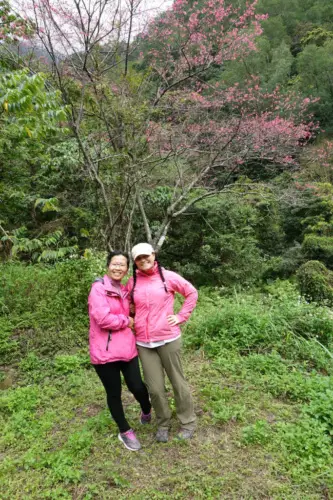 taroko gorge national park hiking zhuilu old trail 3