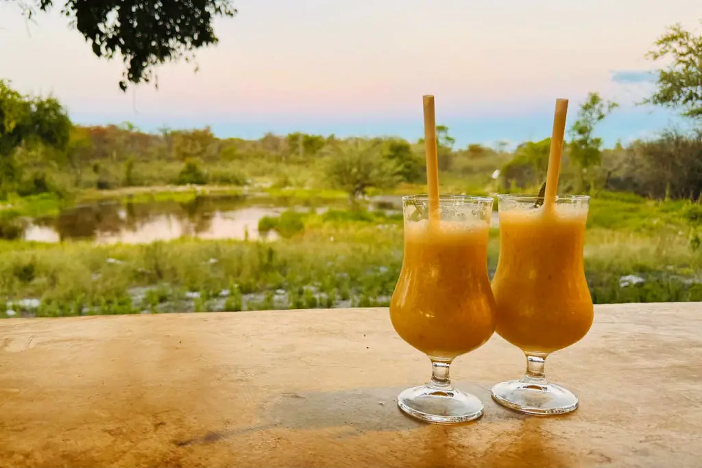 onguma bush camp namibia lodge watering hole with cocktails