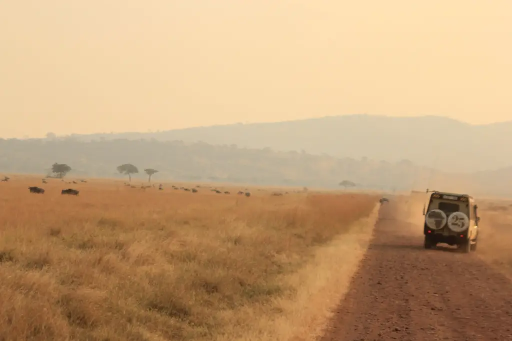 serengeti national park vehicles must stay on roads